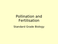 Pollination and Fertilisation.pdf